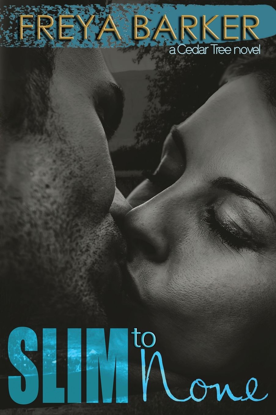 Slim To None: a Cedar Tree novel