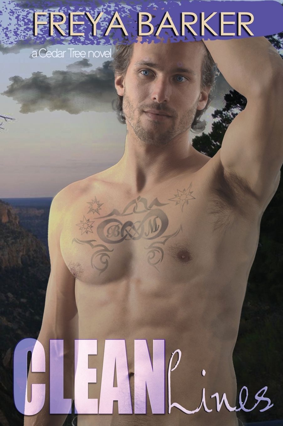 Clean Lines: a Cedar Tree novel