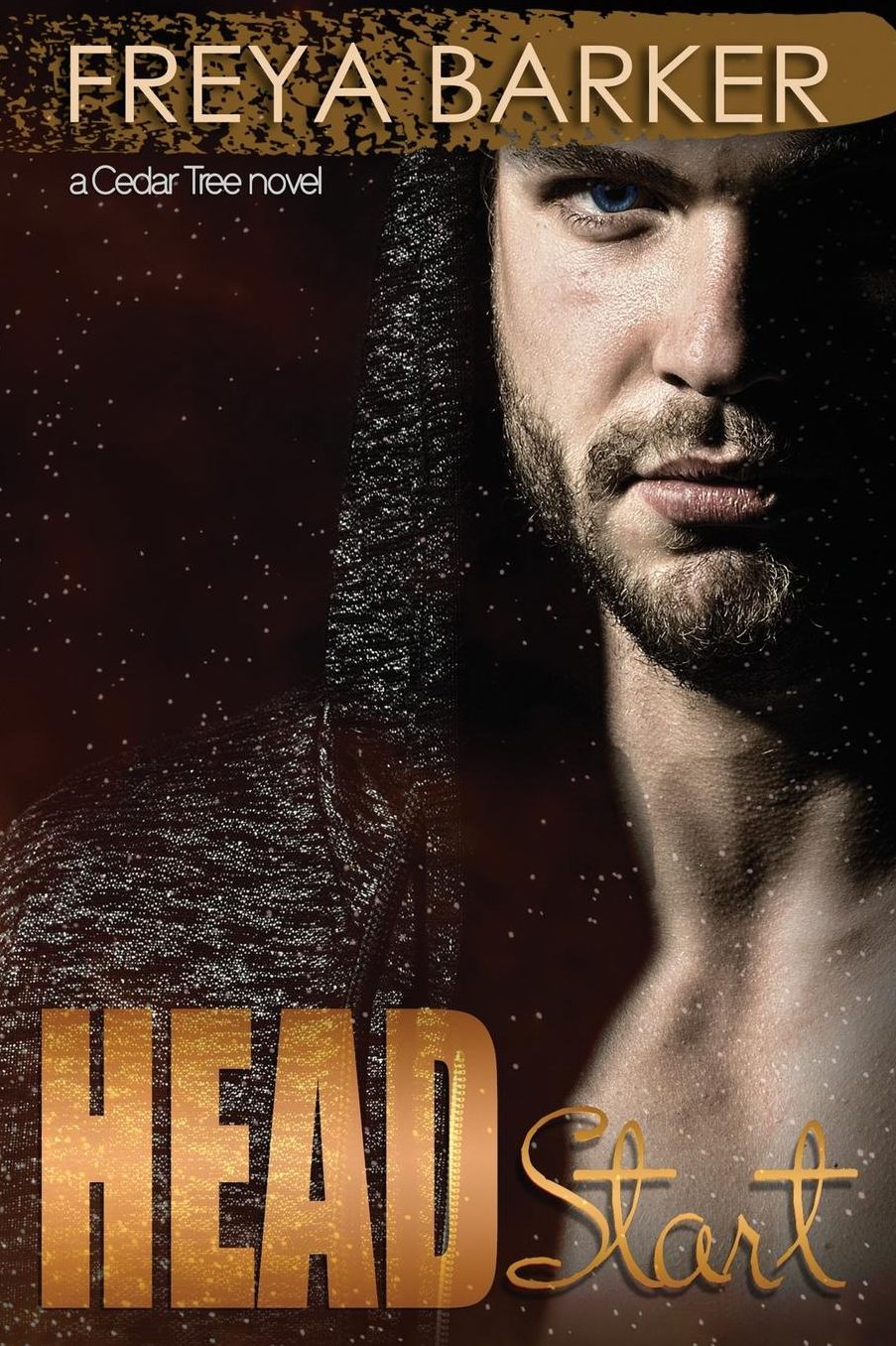 Head Start: a Cedar Tree novel