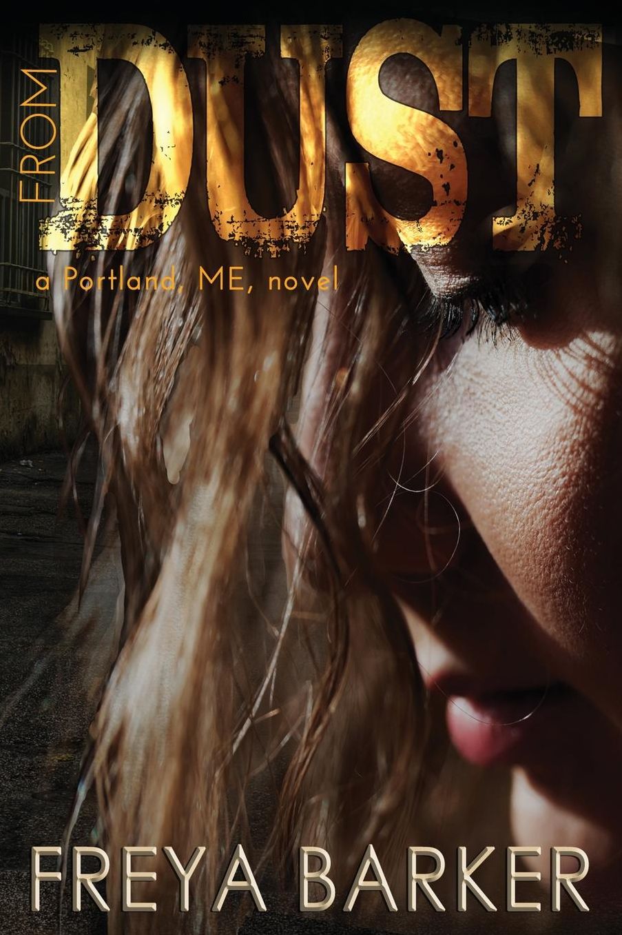 From Dust: a Portland, ME, novel