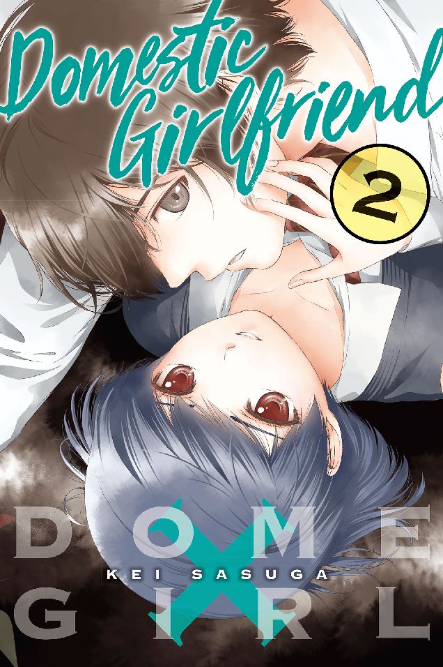 Domestic Girlfriend: Volume 2