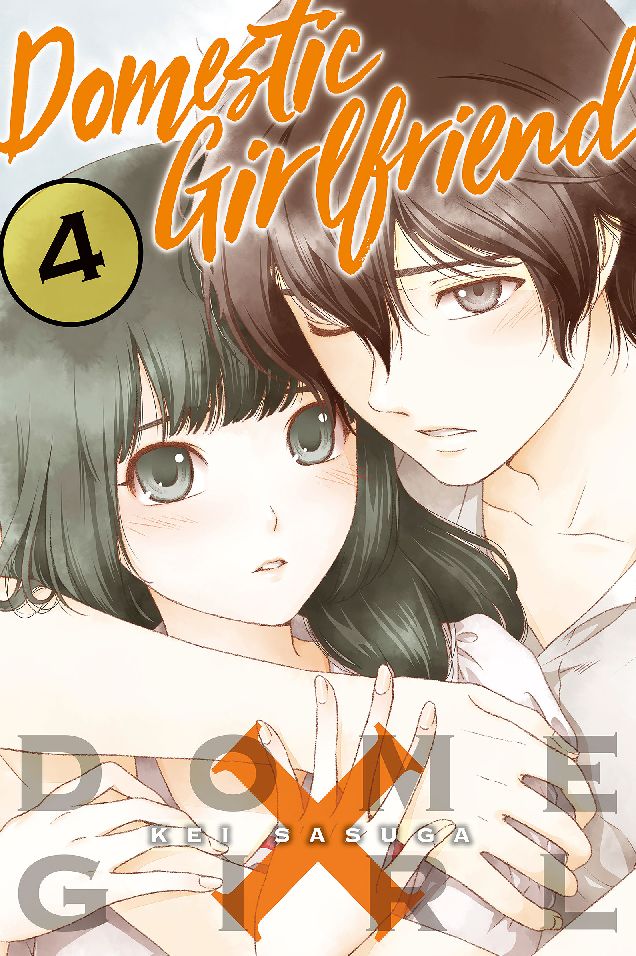 Domestic Girlfriend: Volume 4