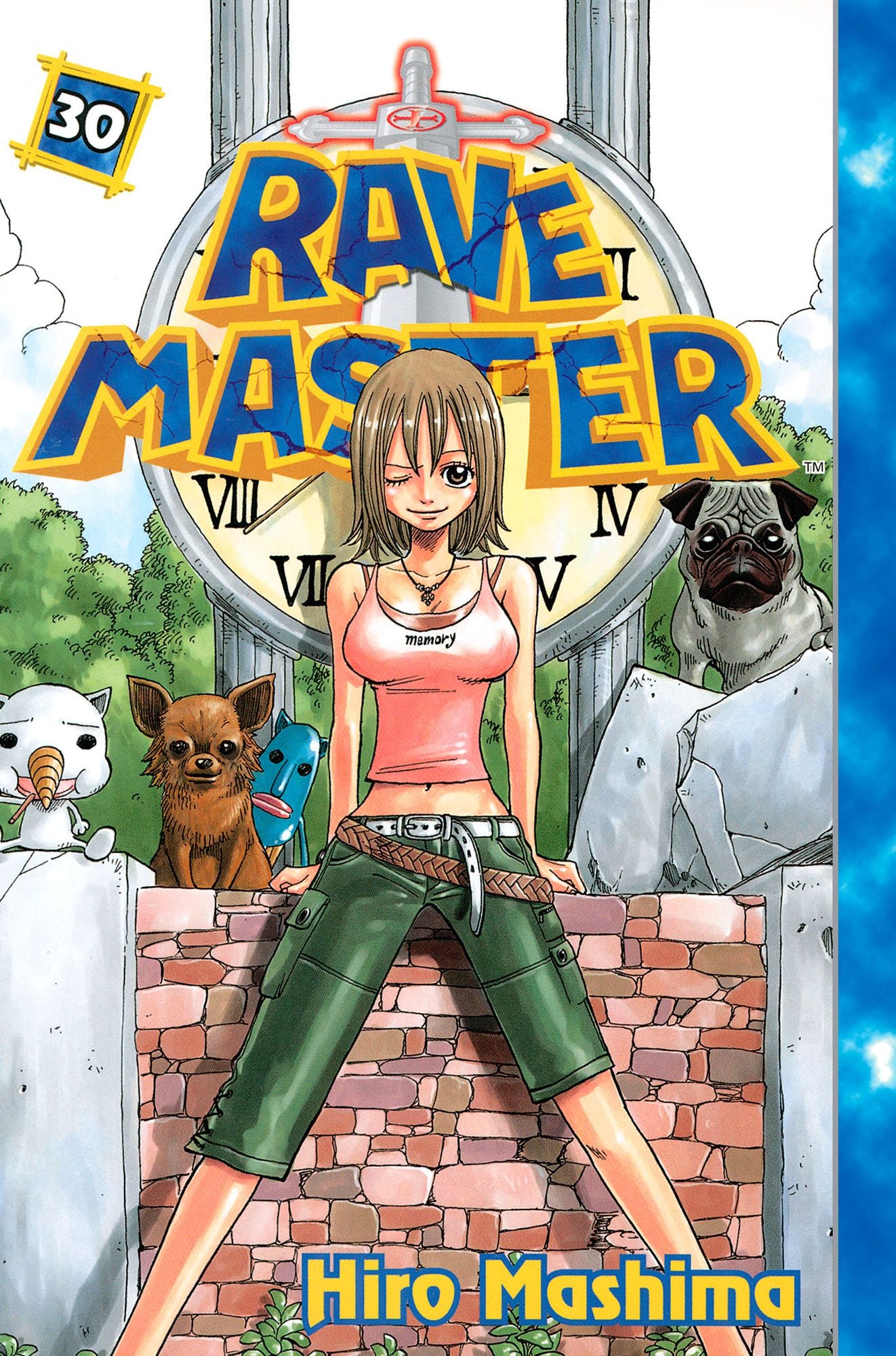 Rave Master: Volume 30