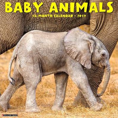 2017 Baby Animals Wall Calendar