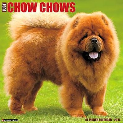 2017 Just Chow Chows Wall Calendar