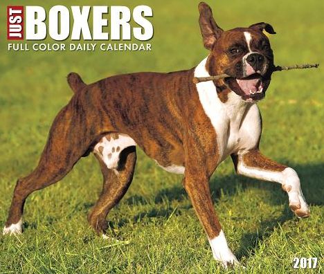 2017 Just Boxers Box Calendar