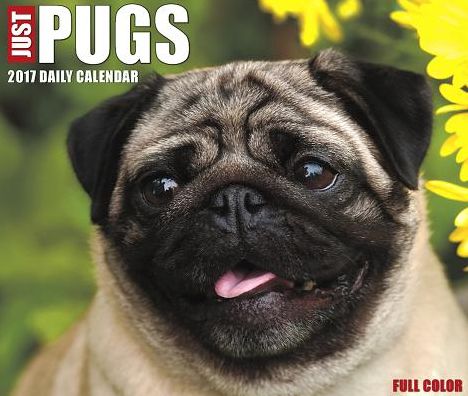2017 Just Pugs Box Calendar