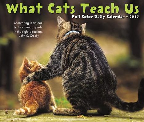 2017 What Cats Teach Us Box Calendar