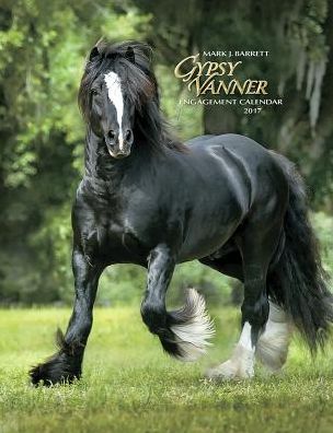 2017 Gypsy Vanner Horse Engagement Calendar