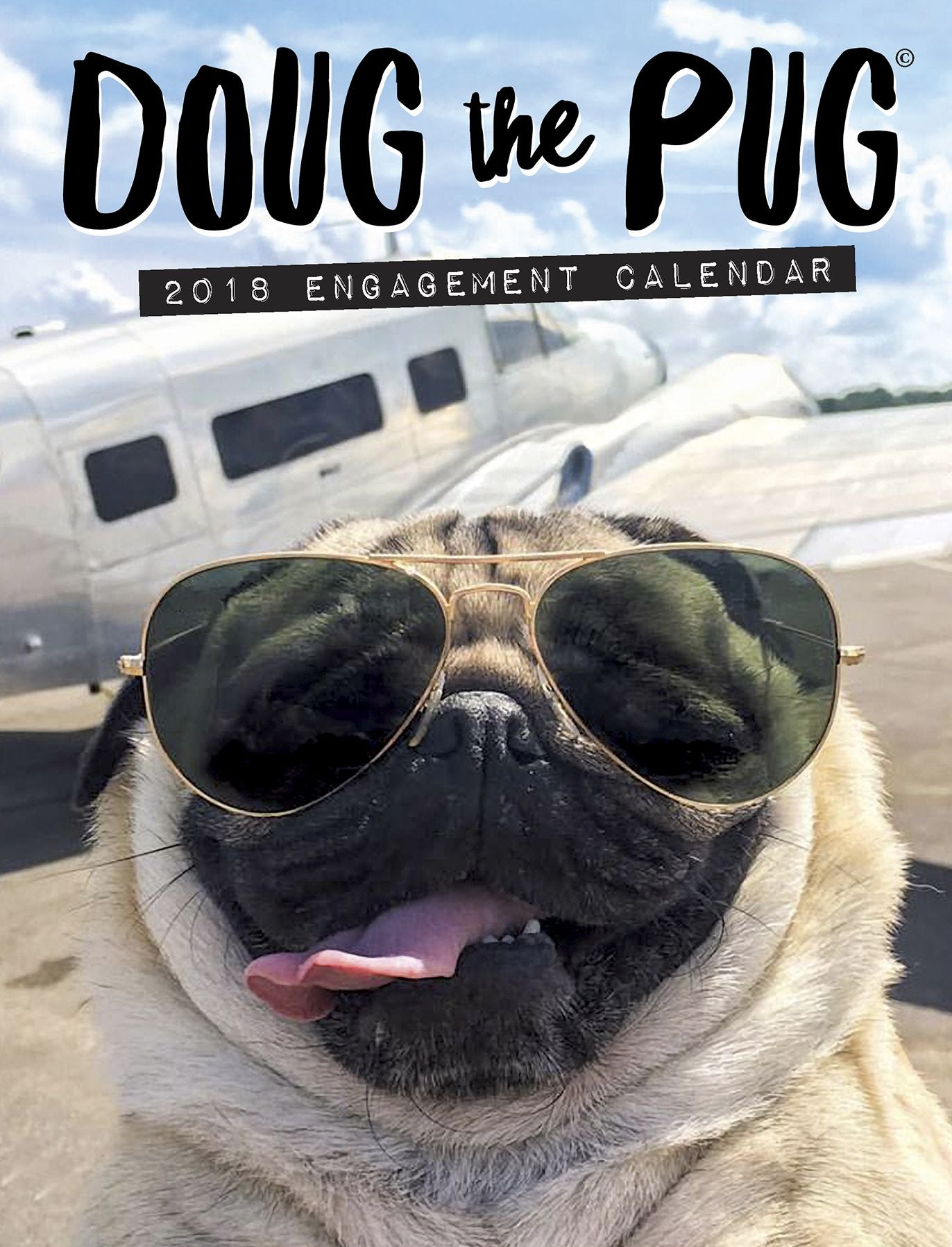 2018 Doug the Pug Engagement Calendar