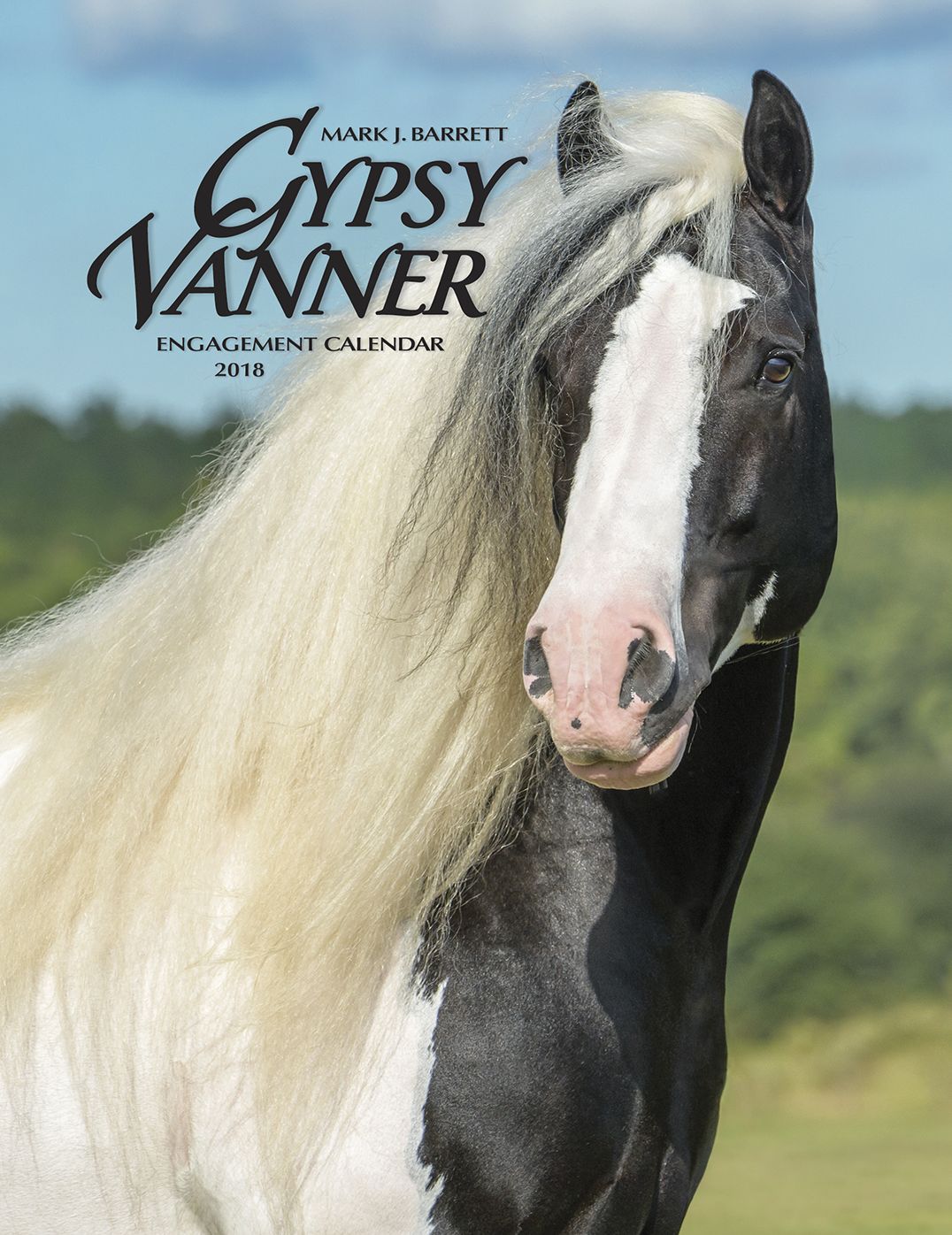 2018 Gypsy Vanner Horse Engagement Calendar