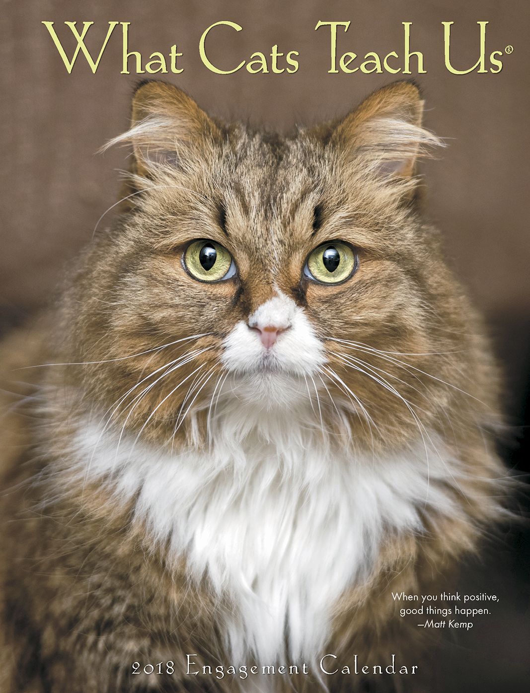 2018 What Cats Teach Us Engagement Calendar