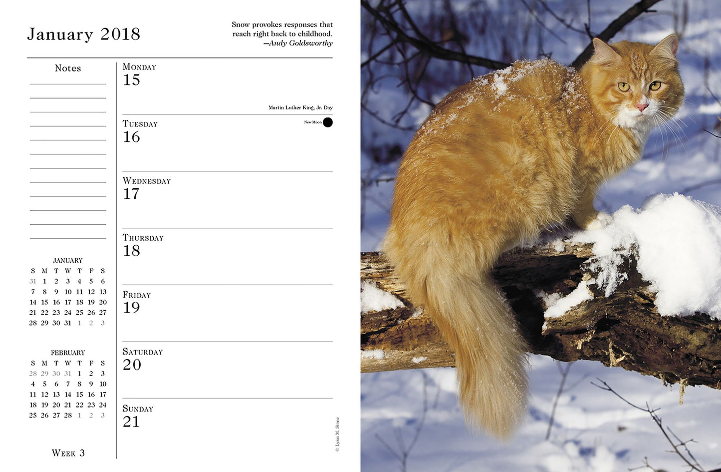 2018 What Cats Teach Us Engagement Calendar
