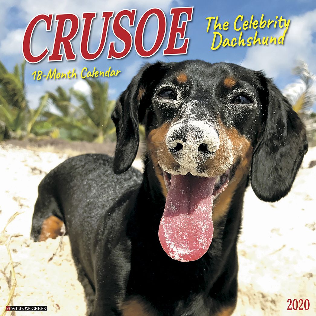Crusoe the Celebrity Dachshund 2020 Wall Calendar (Dog Breed Calendar)