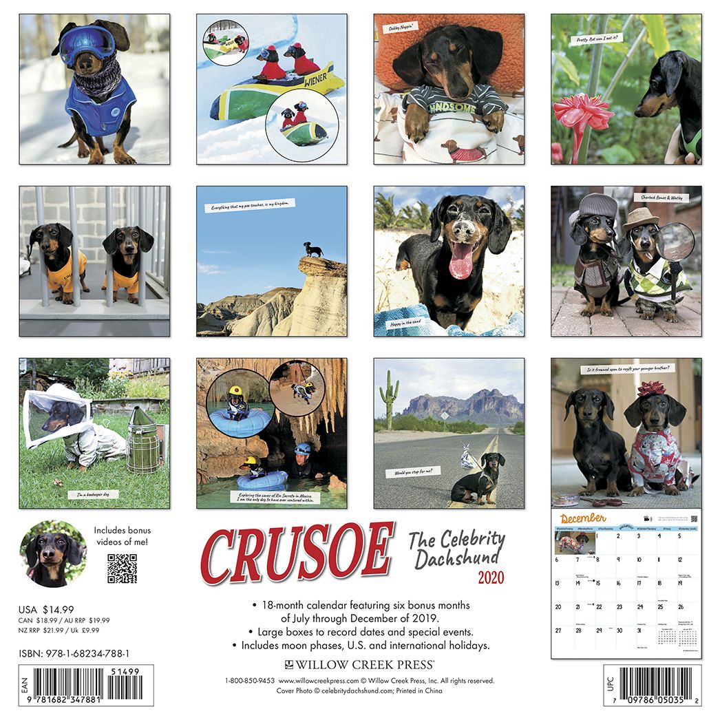 Crusoe the Celebrity Dachshund 2020 Wall Calendar (Dog Breed Calendar)