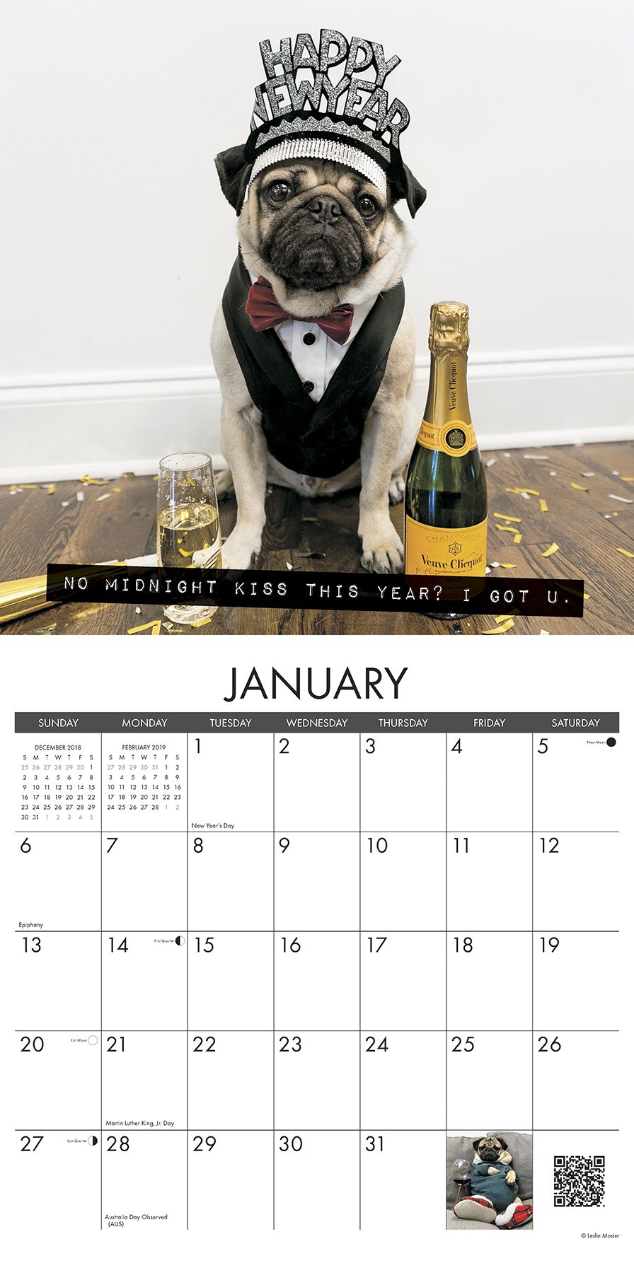 Doug the Pug 2019 Wall Calendar (Dog Breed Calendar)