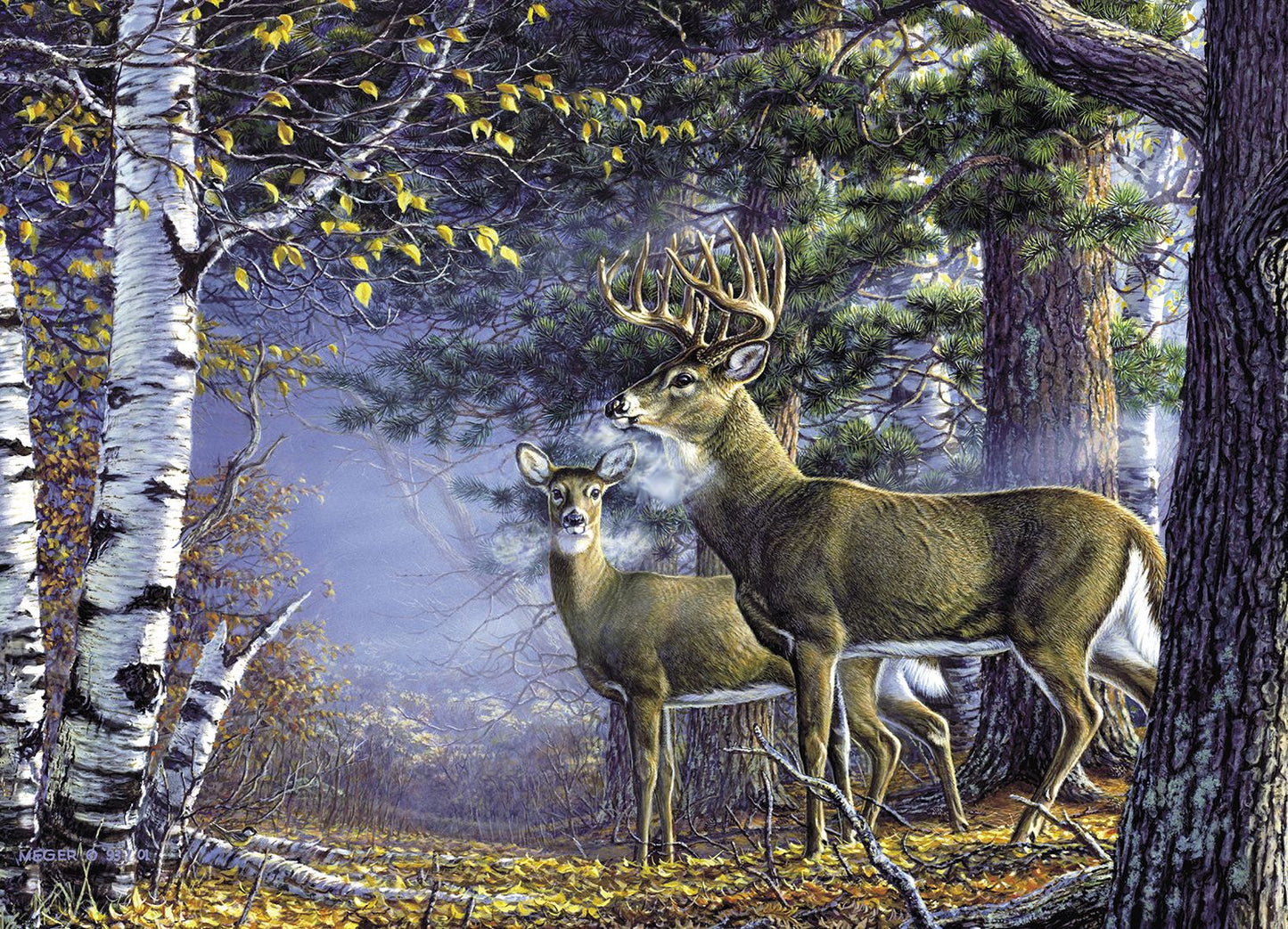 Cold Snap 1000-Piece Puzzle