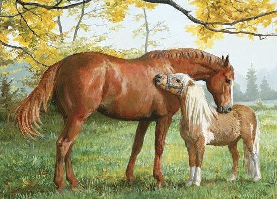 Little Higher, Please 1000-Piece Puzzle