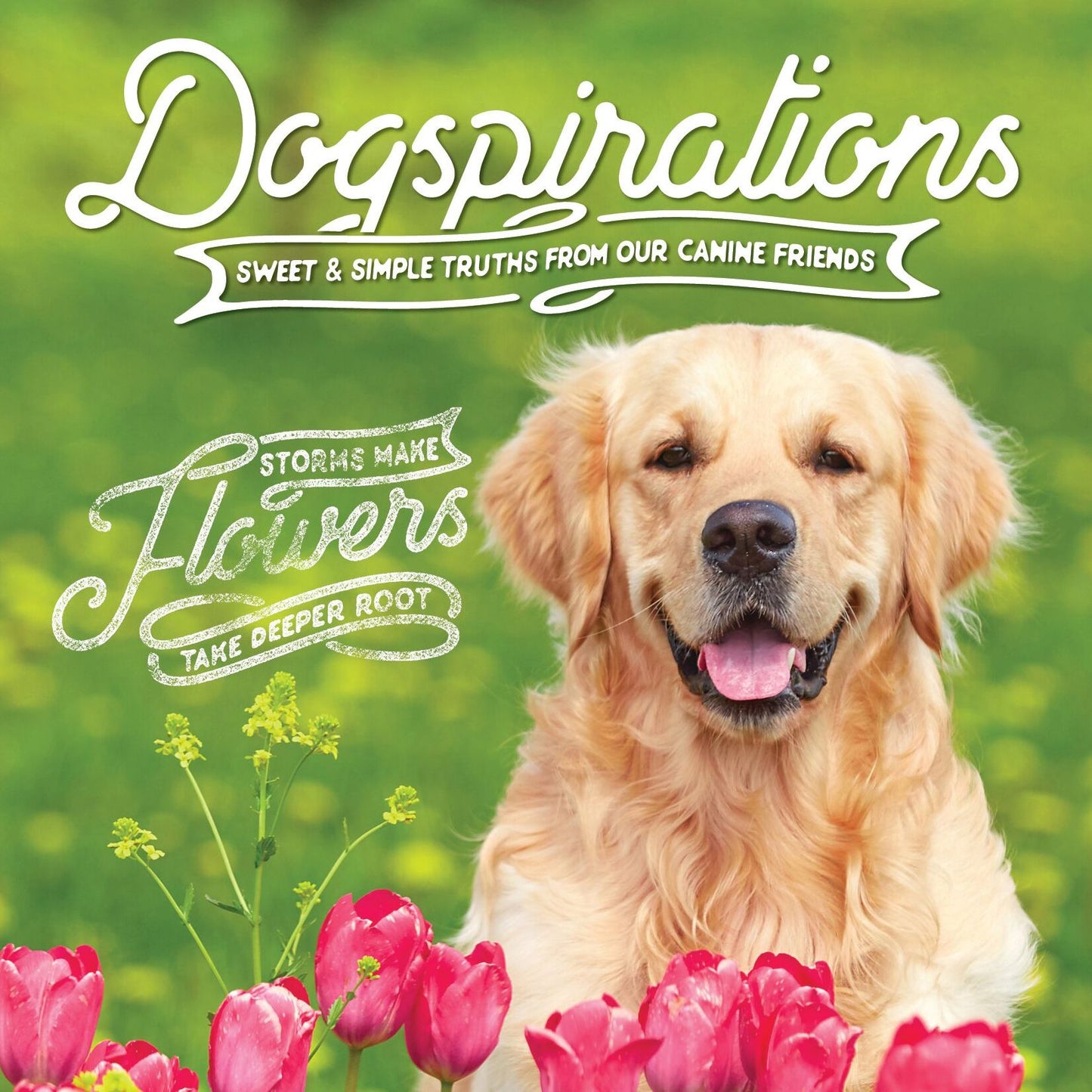 Dogspirations