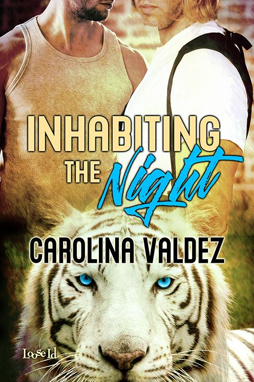 Inhabiting the Night