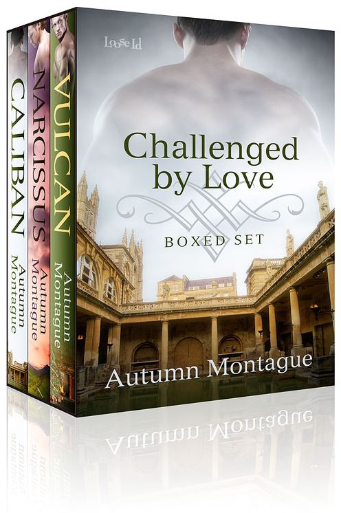 Challenged by Love E-Boxed Set