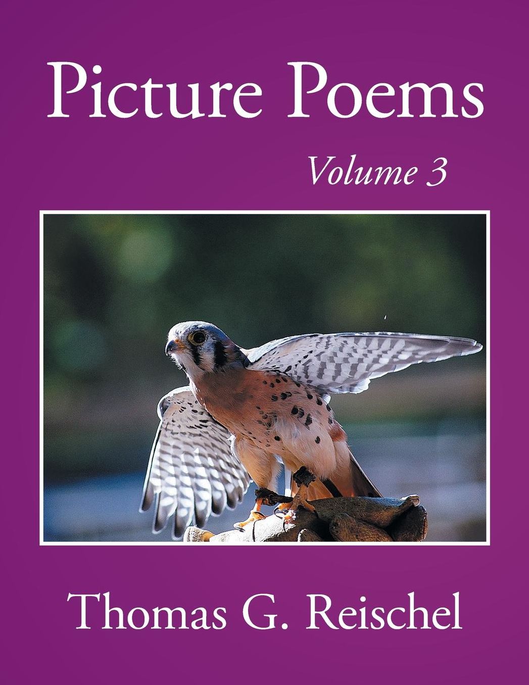 Picture Poems Volume 3
