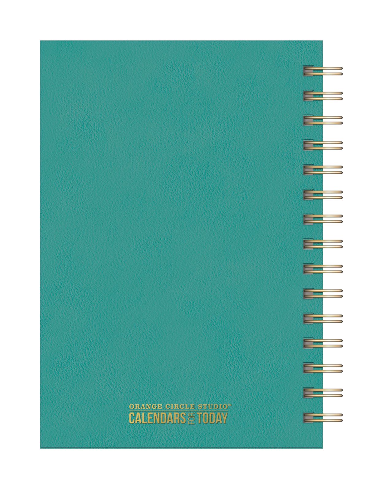 2018 Sea Green Leatheresque Spiral Weekly Agenda