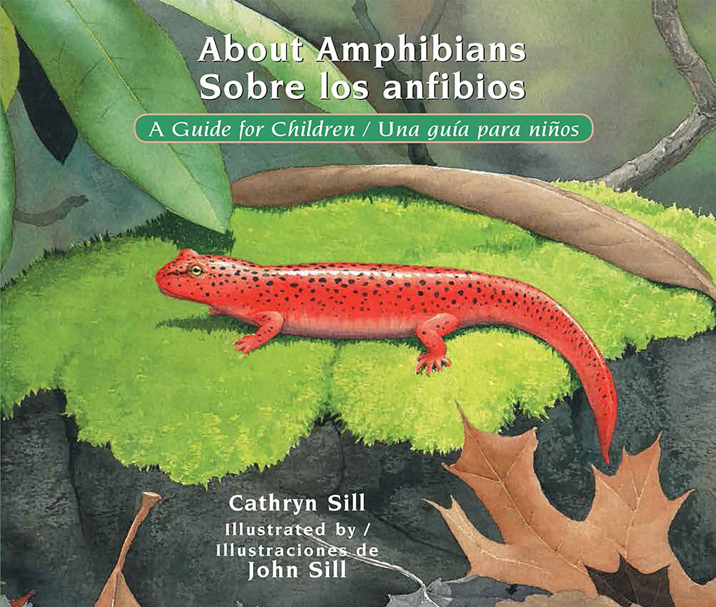 About Amphibians / Sobre Los Anfibios: A Guide for Children / Una Guï¿½a Para Niï¿½os