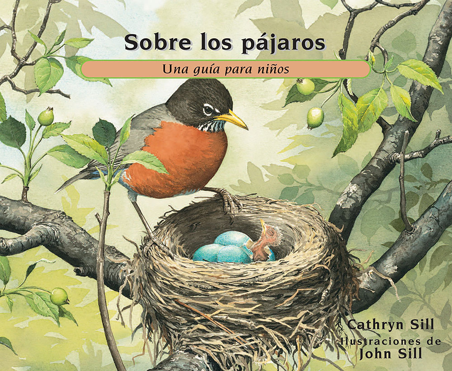 Sobre Los Pï¿½jaros: Una Guï¿½a Para Niï¿½os