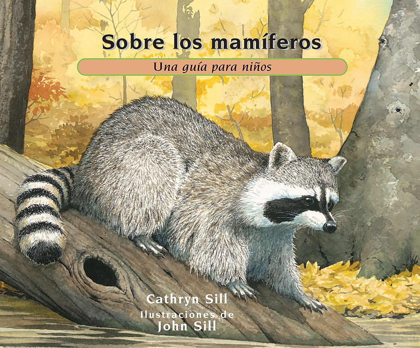 Sobre Los Mamï¿½feros: Una Guï¿½a Para Niï¿½os