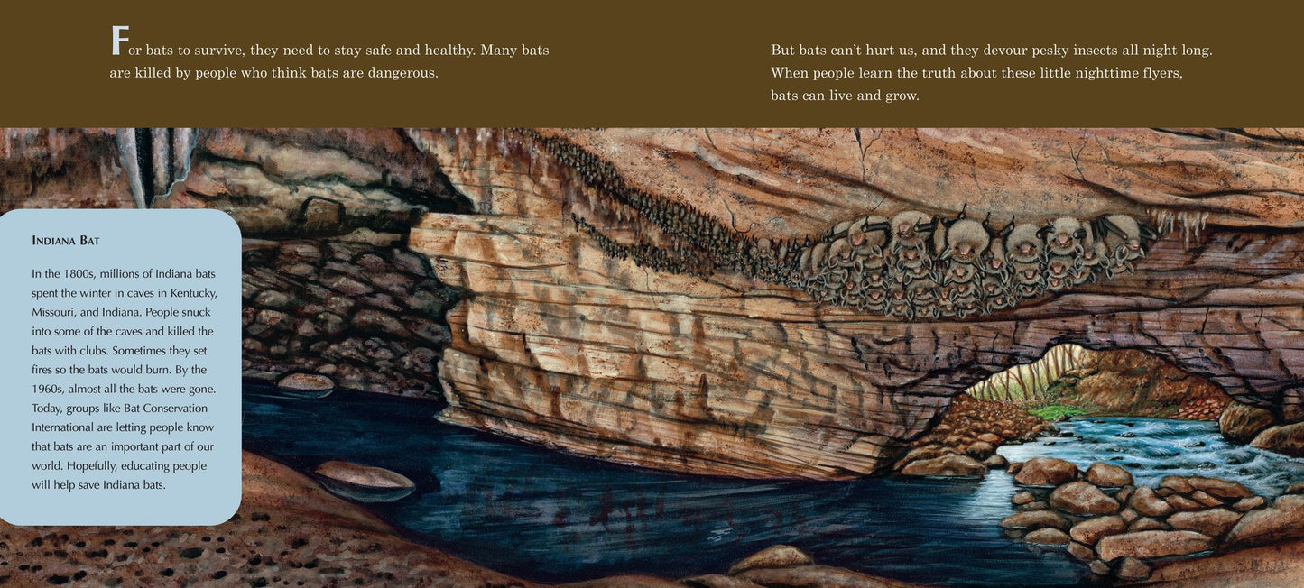 A Place for Bats (Third Edition)