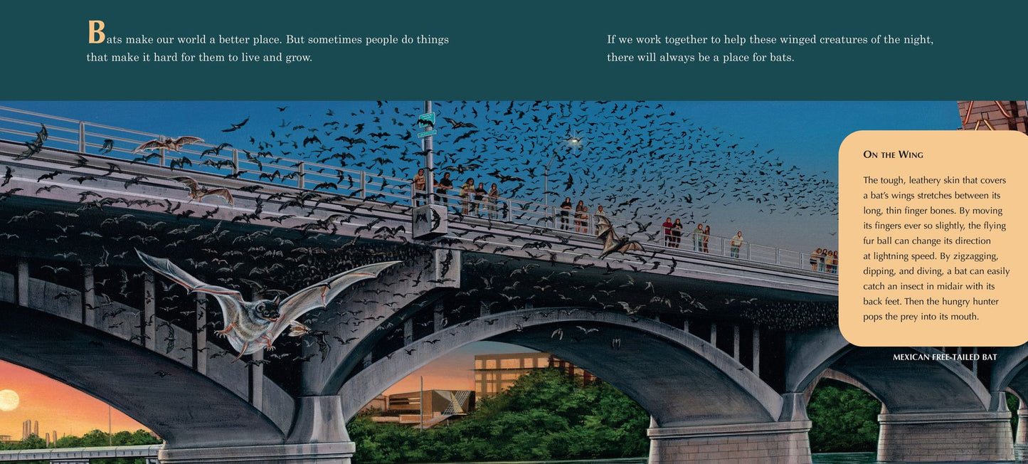 A Place for Bats (Third Edition)