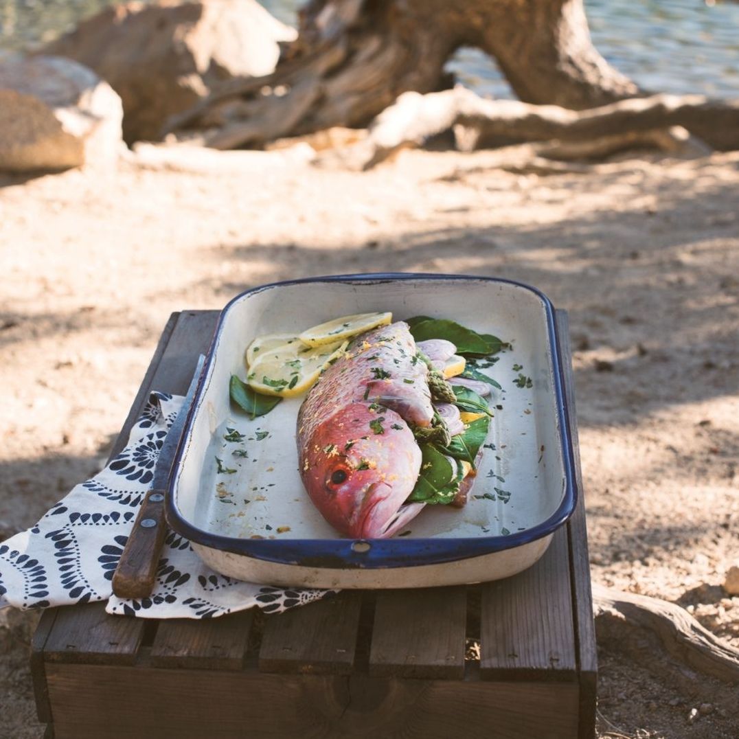 The Camp & Cabin Cookbook: 100 Recipes to Prepare Wherever You Go