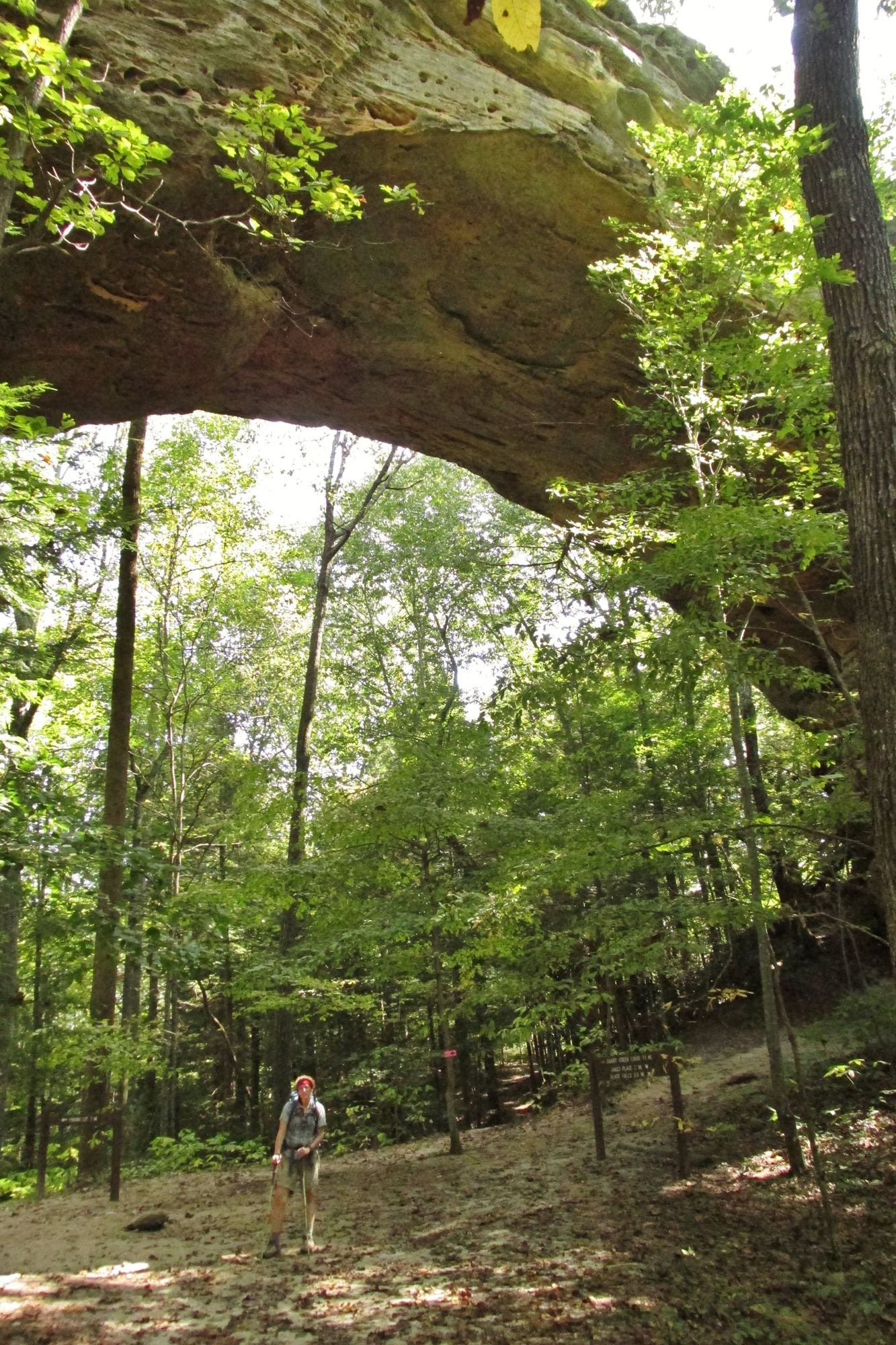 50 Hikes on Tennessee's Cumberland Plateau