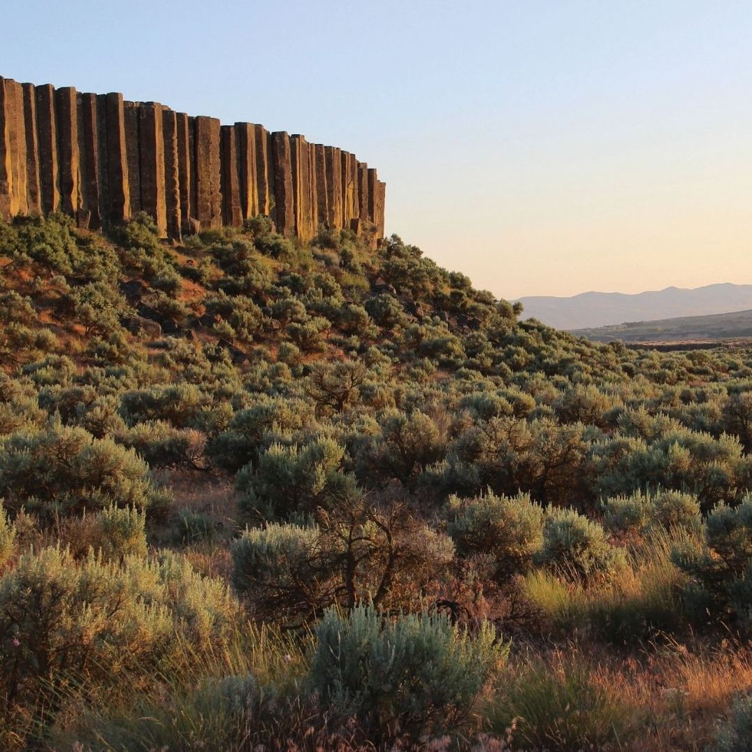 Beautiful Wounds: A Search for Solace and Light in Washington's Channeled Scablands
