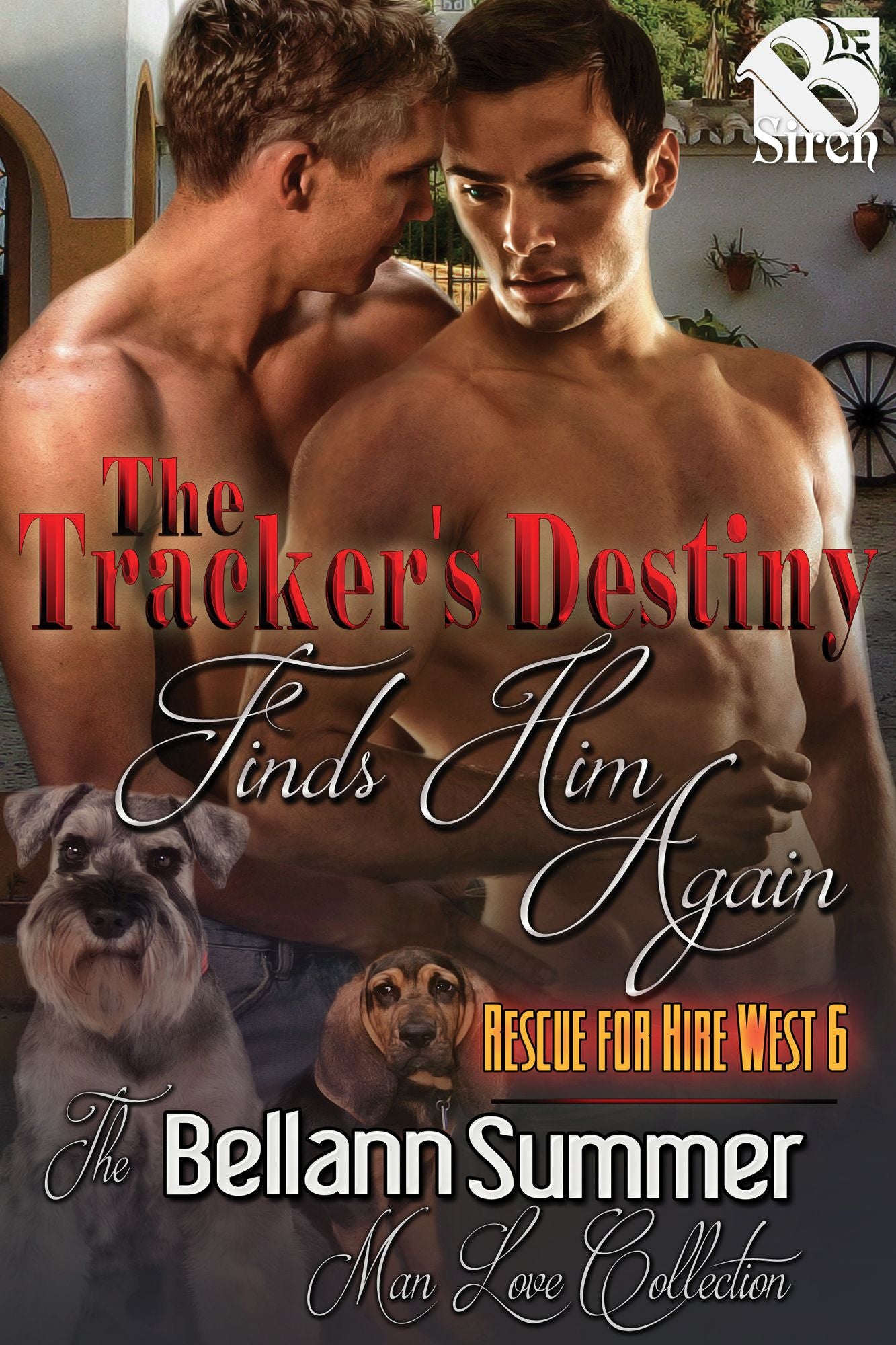 The Tracker's Destiny Finds Him Again [Rescue for Hire West 6] (Siren Publishing The Bellann Summer ManLove Collection)