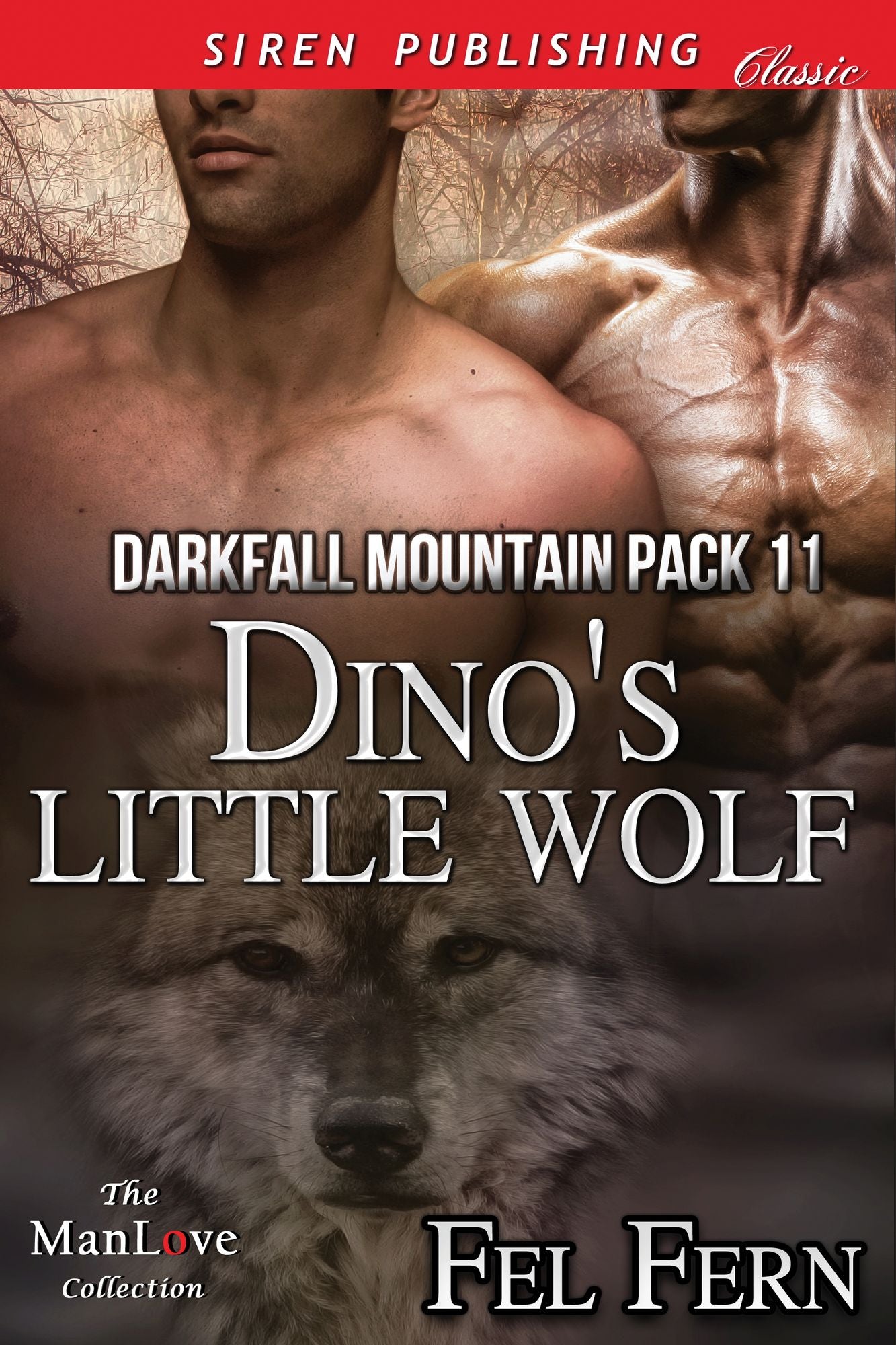 Dino's Little Wolf [Darkfall Mountain Pack 11] (Siren Publishing Classic ManLove)