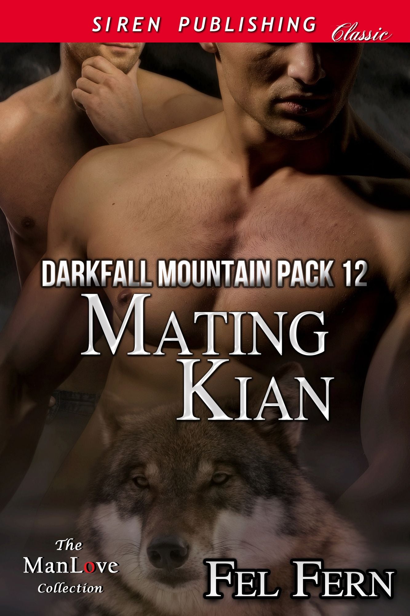Mating Kian [Darkfall Mountain Pack 12] (Siren Publishing Classic ManLove)
