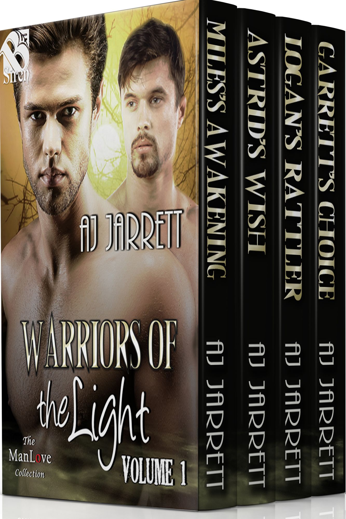 Warriors of the Light, Volume 1 [Box Set 67] (Siren Publishing Classic ManLove)