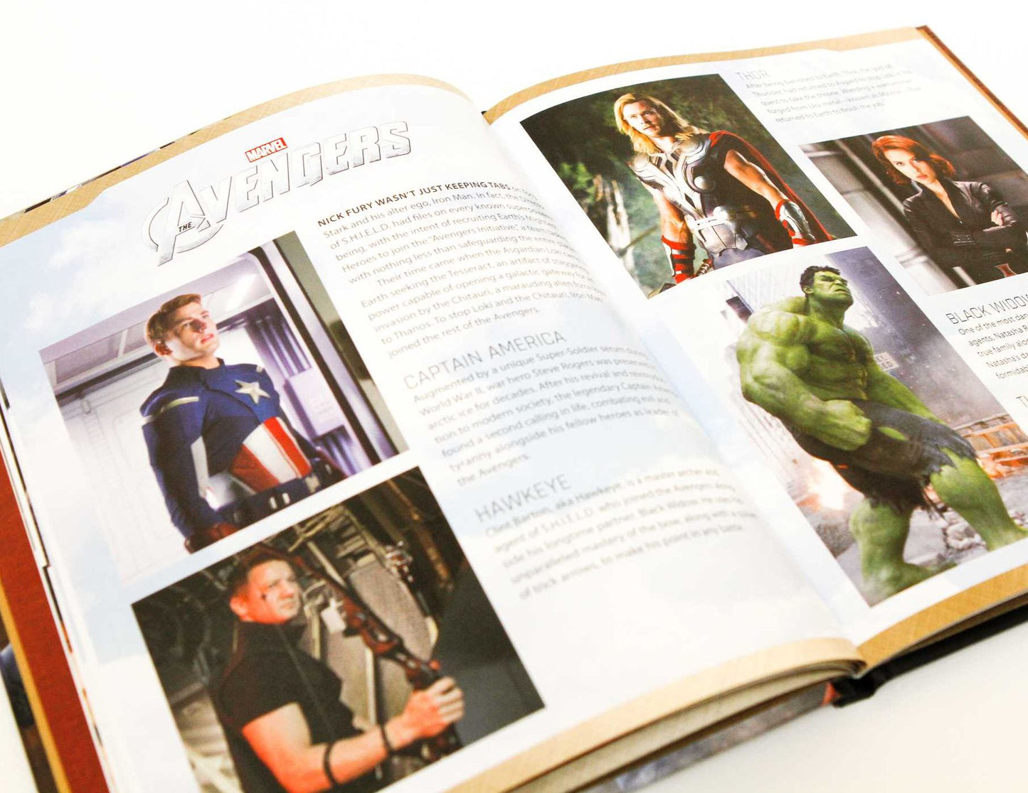 IncrediBuilds: Marvel's Captain America: Civil War: Iron Man Signature Series Book and Model Set