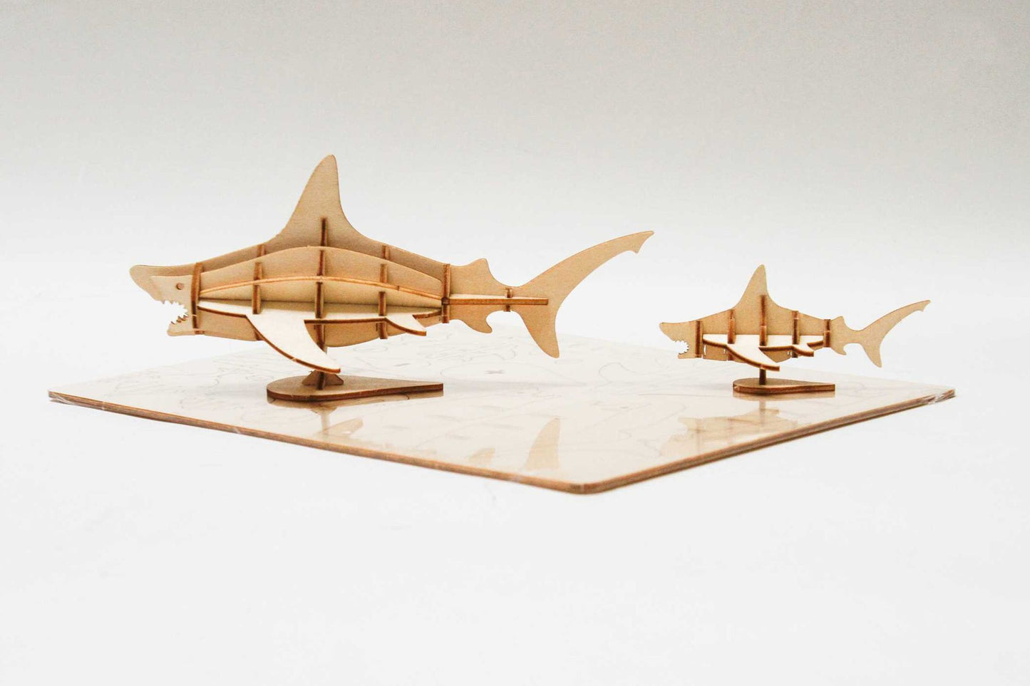 IncrediBuilds: Great White Sharks 3D Wood Model