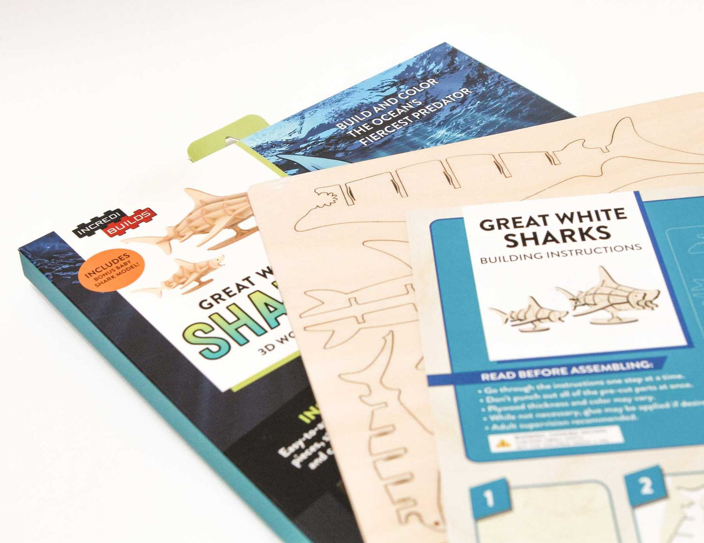 IncrediBuilds: Great White Sharks 3D Wood Model