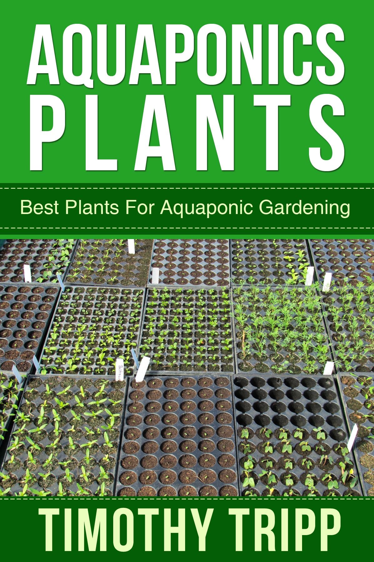 Aquaponics Plants: Best Plants For Aquaponic Gardening