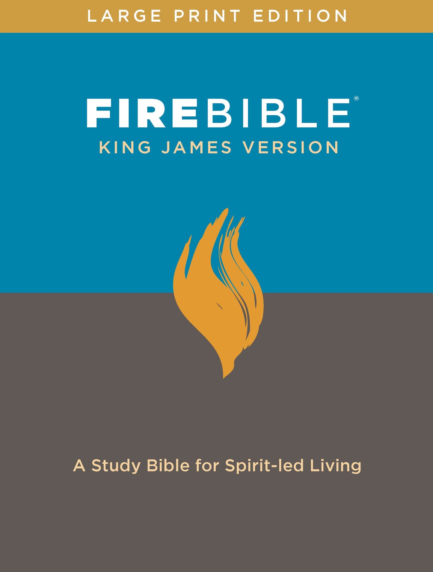 Fire Bible: King James Version-Large Print Edition