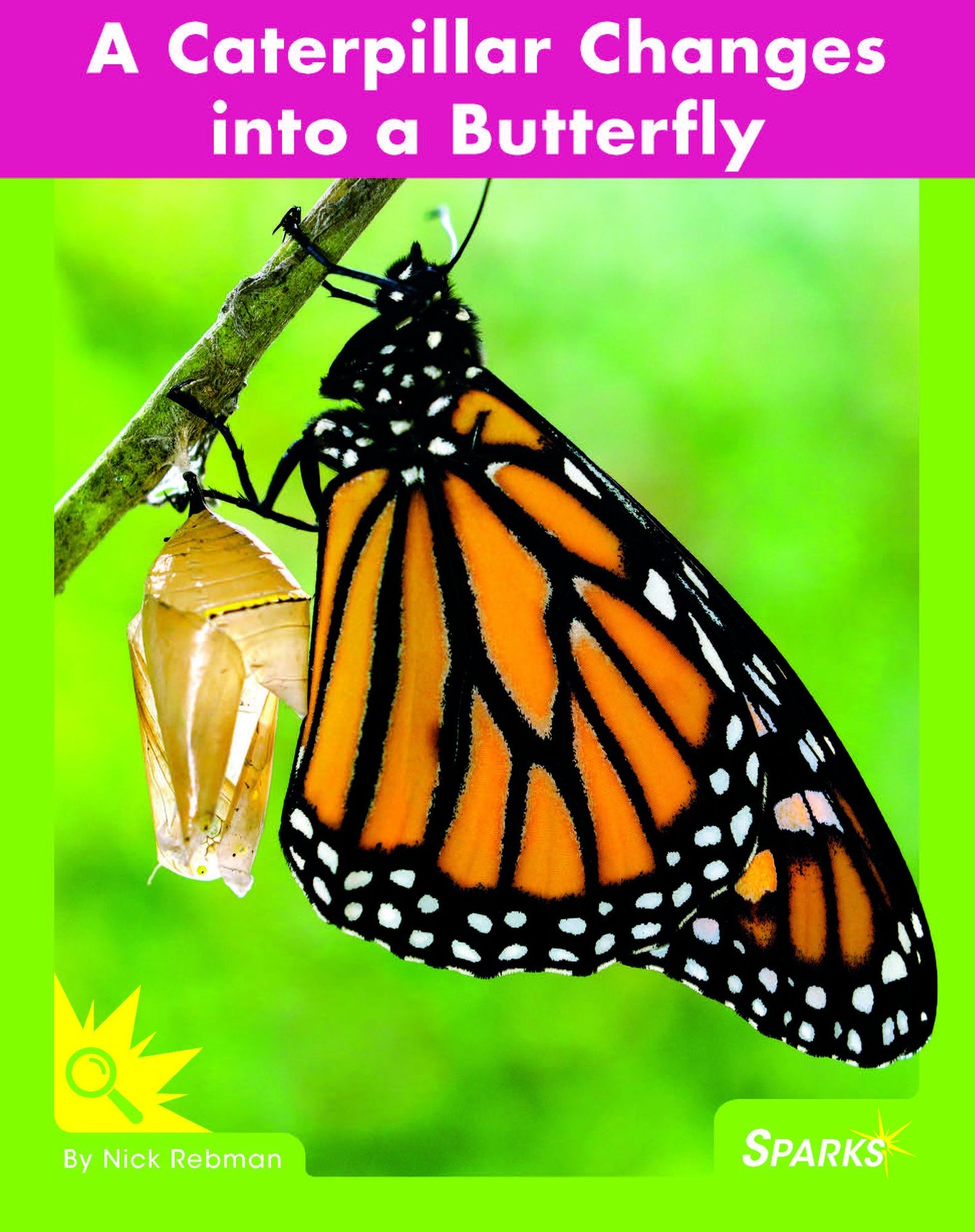 A Caterpillar Changes into a Butterfly