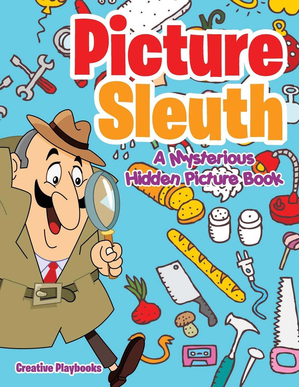 Picture Sleuth: A Mysterious Hidden Picture Book