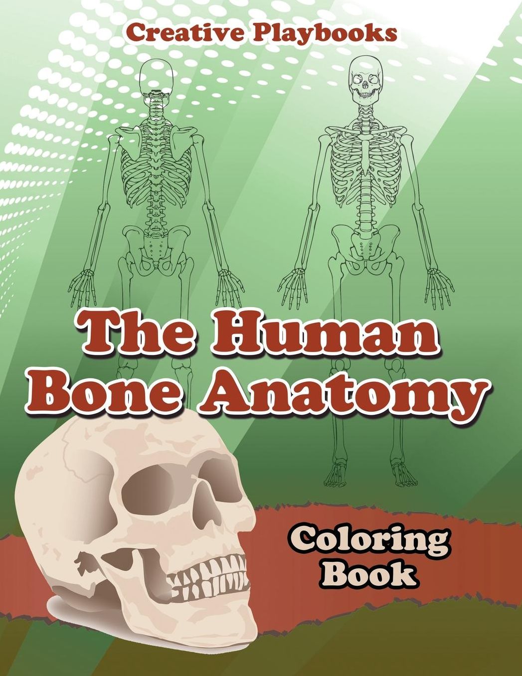 The Human Bone Anatomy Coloring Book