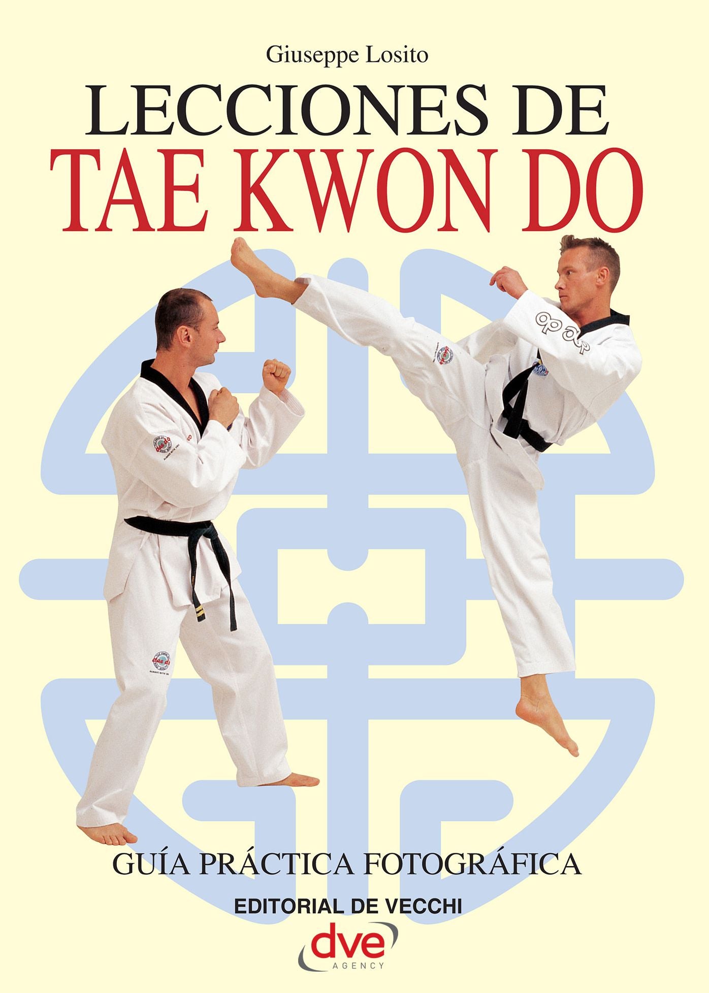 Lecciones de Tae Kwon Do