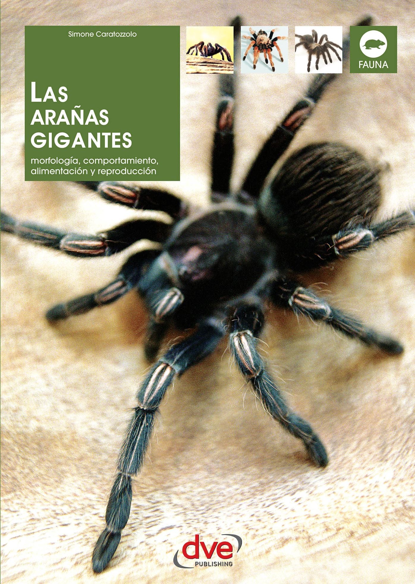 LAS ARAÑAS GIGANTES