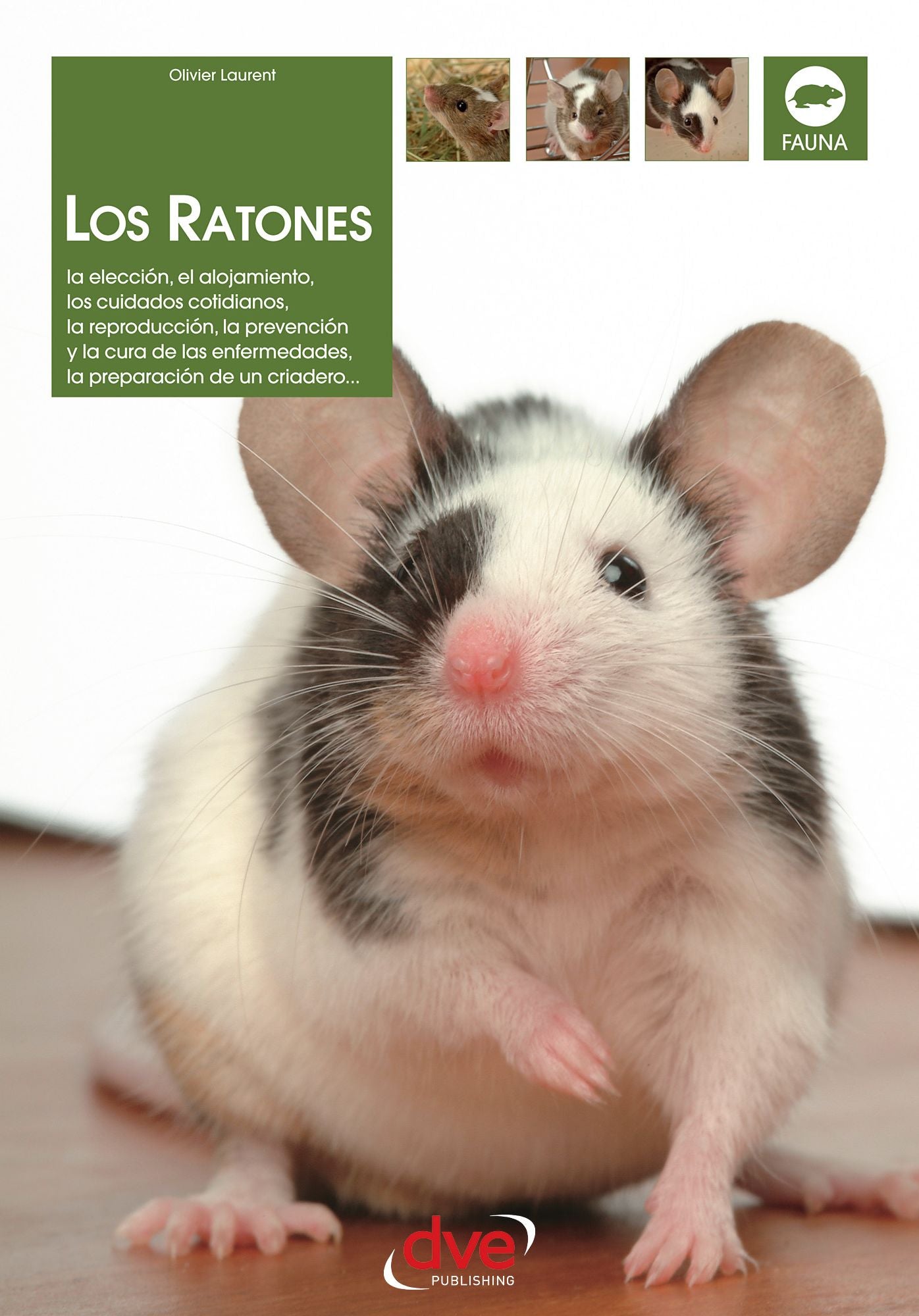 Los ratones: La eleccion, el alojamiento, los cuidados cotidianos, la reproduccion, la prevencion y la cura de las enfermedades, la preparacion de un criadero